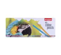 Bruynzeel Juego de Lápices de Colores de 45 Colores en Lata para Dibujar, Colorear Libros para Adultos, Bullet Journaling | Parrot