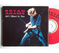 Bryan Adams - All I Want Is You