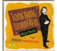Bryn Terfel - Something Wonderful (UK Import)
