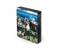 Brynhildr in the Darkness Dvd [DVD de Audio]