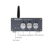 BRZHIFI HIFI 5.3 Digital Power Amplifier Home Car DIY Stereo HiFi Amp, 100W X 2 Version (Power Supply Not Included)