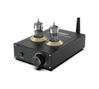 BRZHIFI TPA-6A2 Amplificador de Válvulas Electrónicas 2.0 Canales 50 Vatios x2 Hi-Fi Estéreo Amp de Potencia Digital Bluetooth 5.0 Mini Receptor de Audio para el Hogar enchufe estadounidense (Negro)
