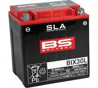 BS Battery 300631 bix30l AGM SLA Batería de moto, color negro