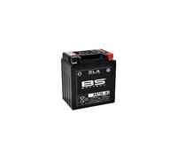 BS Battery 300677 bb10l de B2 AGM SLA Batería de moto, color negro