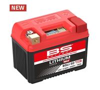 BS Battery Batería de Litio-Hierro-Fosfato - BSLi-02 MAX