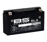 BS Battery Batería SLA libre de mantenimiento activada de fábrica - BT12-10Z