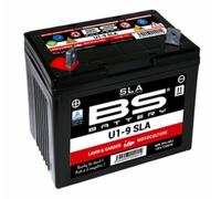 BS Battery Batería SLA libre de mantenimiento activada de fábrica - U1-9