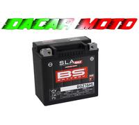 BS-BATTERY Batería SLA-MAX BGZ16HL 12V 14Ah Negro