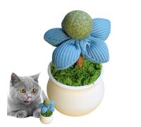Bsbkoj Catnip Toys for Cats, Flower Pot Licker, 4,72 x 2,36 pulgadas con construcción rotativa, tratado interactivo, limpiador de dientes saludable con bonito estilo, suministro de mascotas para
