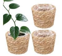 Bsbkoj Cesta trenzada para plantas, juego de accesorios de jardín de 3 piezas con capa interior impermeable - Cesta exterior para plantas - Para decoración frontal exterior plantación decoración de
