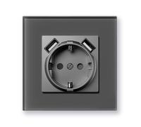 BSEEDLIFE Enchufe Pared,Enchufe Pared con USB Normas Europeas Schuko,86 * 86mm 1 Gang 16A,Marco de Cristal,Fácil Instalación,Gris