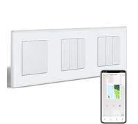 BSEEDLIFE Interruptor de luz inteligente WIFI con interruptor de persiana inalámbrica, 1 interruptor de pared, 1 interruptor de pared, 2 temporizadores, compatible con Alexa/Google Home, interruptor