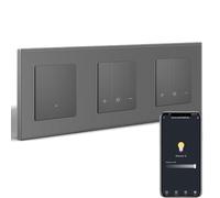 BSEEDLIFE Interruptor de luz inteligente WiFi con regulador de intensidad WiFi, 1 interruptor de pared, 1 interruptor de intensidad, 2 compatibles con Alexa/Google Home, interruptor de luz empotrado