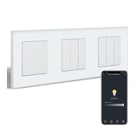 BSEEDLIFE Interruptor de luz inteligente WiFi con regulador de intensidad WiFi, 1 interruptor de pared, 1 interruptor de intensidad, 2 compatibles con Alexa/Google Home, interruptor de luz empotrado