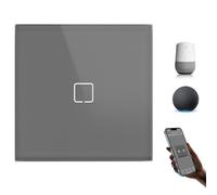 BSEEDLIFE Interruptor Inteligente WiFi Empotrado,Smart Interruptor Táctil Pared,1 Gang 1 Vía 86 * 86 mm,Compatible con Alexa y Google Home (Aplicación Tuya/Smart Life),Gris