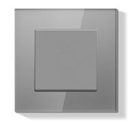 BSEEDLIFE Interruptor Pared Empotrable,Interruptor Conmutador de Pared con Marco de Cristal,1 Gang 2 Vías Fácil Instalación,Para Sala de Estar,Dormitorio y Pasillo,86 * 86mm Gris