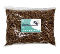 BSF Larvas 1 kg (6,5 L) - Larvas secas de moscas negras de soldado aperitivos nutritivos para reptiles, roedores, pájaros y peces