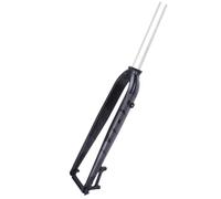 BSFHQS Horquilla Rígida De Bicicletas De Montaña 26" 27,5" 29" Horquilla BTT De Aleación De Aluminio 1-1/8'' Tubo Recto Horquilla Delantera con Freno De Disco 9 * 100mm QR(Matte Black,29in)