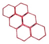 BSFIT Set de Entrenamiento de Agilidad para Fútbol, Conos, Champiñones, Vallas Regulables, Kit de Coordinación (Escalera ENCASTRABLE Hexagonal)
