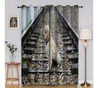 BSYYZQC Cortinas Salon Perro Golden Retriever Cortinas Dormitorio VíA FéRrea Cortinas Opacas 2 Piezas, Cortinas Termicas Aislantes Frio y Calor con Ojales 117x160cm