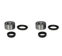 BTA 2x Cubo Kit Cojinete de Rueda Trasero para Nissan Terrano II Pathfinder R20