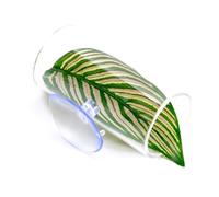 Btgghytr Nido de peces acrílico impermeable Bettas durabilidad peces camarón refugio adornos de peces para acuarios