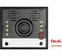 BTICINO 342560 Módulo De Audio/Video 2 Hilos Con Cámara Esférica Classic
