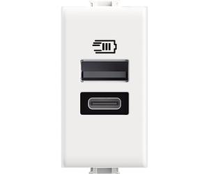 Bticino AM4191AC Cargador USB con Dos entradas de Tipo A y C, para Instalar en la Placa Matix, para Cargar un Dispositivo electrónico de hasta 15 W o Dos Dispositivos simultáneamente, 1 Plaza, Blanco