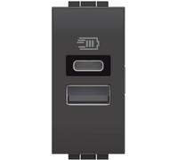 Bticino L4191AC - Cargador USB con Dos entradas Tipo A E C, para Instalar en la Placa Livinglight, para Cargar un Dispositivo electrónico de hasta 15 W o Dos Dispositivos Conjuntos, 1 módulo,