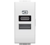 Bticino N4191Aa Cargador USB con Dos entradas Tipo A E C, para Instalar en la Placa Livinglight, para Cargar un Dispositivo electrónico de hasta 15 W o Dos Dispositivos ensamblados, 1 módulo, Blanco