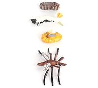 BTOSEP Figuras del ciclo de vida de insectos, bordes lisos, modelos de crecimiento de hormigas mosquito para la educación (M4184 Mosquito (31,6 g)