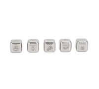 BTOSEP Juego de 5 dados de cena divertidos y portátiles para decisiones de alimentos para familiares y parejas, acero inoxidable