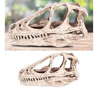 BTOSEP Réplica de Modelo de Cráneo de Resina, Fósil de Cráneo de Diente de Dinosaurio, Modelo de Cráneo de Dinosaurio de Resina, Esqueleto de Animal Simulado
