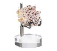 BTSKY Mini tamaño ajustable, brazo de metal plateado, caballete con base acrílica redonda, soporte de exhibición para geodas, mineral de piedra, ágata, moneda de coral fósil
