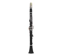 Btuty Clarinete ABS 17 clave bB plana soprano binocular clarinete con guantes de paño de limpieza 10 cañas destornillador caja de instrumentos de viento de madera