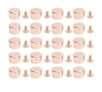 Buachois 20pcs Riverios de encuadernación de cuero, Kit de cuero multifuncional de aleación de zinc, kit de cuero, remaches de reparación de cinturón de cuero, fijación segura (Oro)
