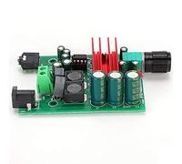 BUAGOUWZ 2X Placa Amplificadora de Potencia Módulo Amplificador de Subwoofer Mono TPA3116 de Alta Sensibilidad con NE5532 OPAMP