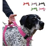 Bub’s® Arnés Perro Grande con Asa Antitirones - Arnés Perro Forma de H - Pechera Canina (Grande con Asa, Rosa)
