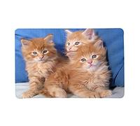 BUBEFSKD 40 x 60 cm lindo para gatos patrón animal alfombra de baño alfombra de baño alfombra no antideslizante cocina sala de estar alfombras de piso para niños