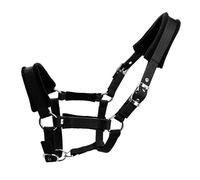 BUBEFSKD Accesorios para clavos de caballo de metal resistente a la corrosión para un control estable durante el ciclismo y durabilidad del equipo, ganchos con ojales, accesorios para dentición de