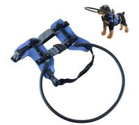 BUBEFSKD Arnés ajustable para perros ciegos, collar protector a prueba de caídas con acolchado para mascotas con discapacidad visual Explorar al aire libre Collar protector para perros ciegos