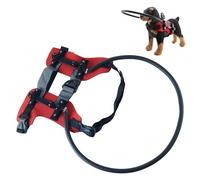 BUBEFSKD Arnés ajustable para perros ciegos, collar protector a prueba de caídas con acolchado para mascotas con discapacidad visual Explorar al aire libre Collar protector para perros ciegos