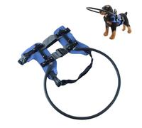 BUBEFSKD Arnés ajustable para perros ciegos, collar protector a prueba de caídas con acolchado para mascotas con discapacidad visual Explorar al aire libre Collar protector para perros ciegos