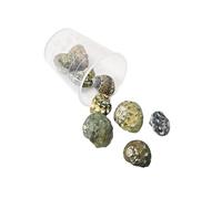 BUBEFSKD Conjunto De Artesanía Conchas Marinas Naturales Proyectos Únicos Marinas Elaboración para Decoraciones Joyería Y Creaciones Artísticas Materiales Artesanales A