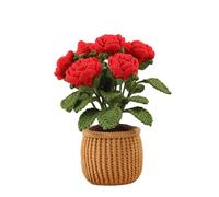 BUBEFSKD Kits de ganchillo para principiantes Lindo hilo vegetal con gancho e instrucciones en inglés para plantas conjunto completo de hilo animal para principiantes