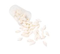 BUBEFSKD Natural Conch Shells Art Supplies Conch Shell Craft Collection Perfecto para la decoración del hogar artesanal y proyectos creativos Shell Craft Supplies, talla única, como se describe