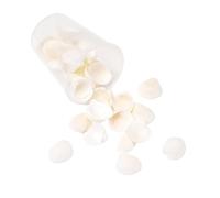 BUBEFSKD Natural Conch Shells Art Supplies Conch Shell Craft Collection Perfecto para la decoración del hogar artesanal y proyectos creativos Shell Craft Supplies, talla única, como se describe