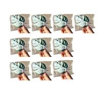 BUBEFSKD Pack de 10 ventosas fuertes para tomar el sol de perchas, diseño de hojas de tortuga, seguro para tortugas, lagartos, cangrejos ermitaños, ventosa fácil de limpiar