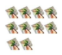 BUBEFSKD Pack de 10 ventosas fuertes para tomar el sol de perchas, diseño de hojas de tortuga, seguro para tortugas, lagartos, cangrejos ermitaños, ventosa fácil de limpiar