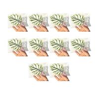 BUBEFSKD Pack de 10 ventosas fuertes para tomar el sol de perchas, diseño de hojas de tortuga, seguro para tortugas, lagartos, cangrejos ermitaños, ventosa fácil de limpiar